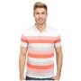 Shirts & Tops