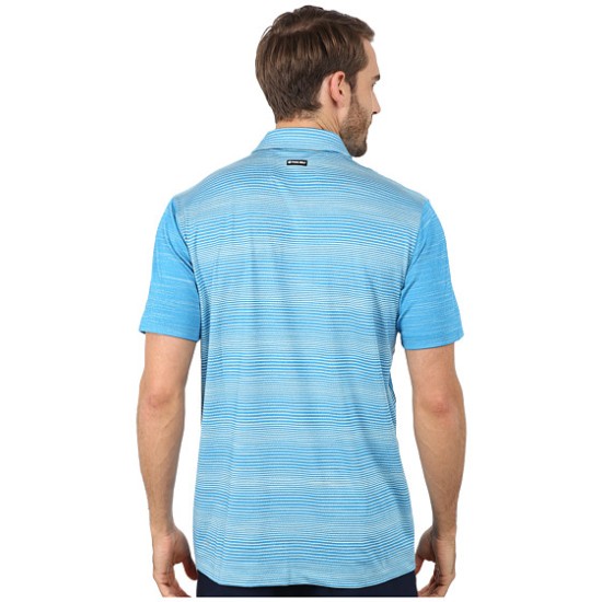 Cinch Modern Fit Polo Stripe